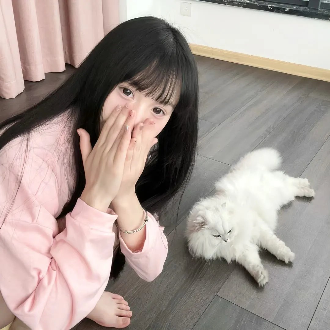 发条精灵战记 天镜的极北之星